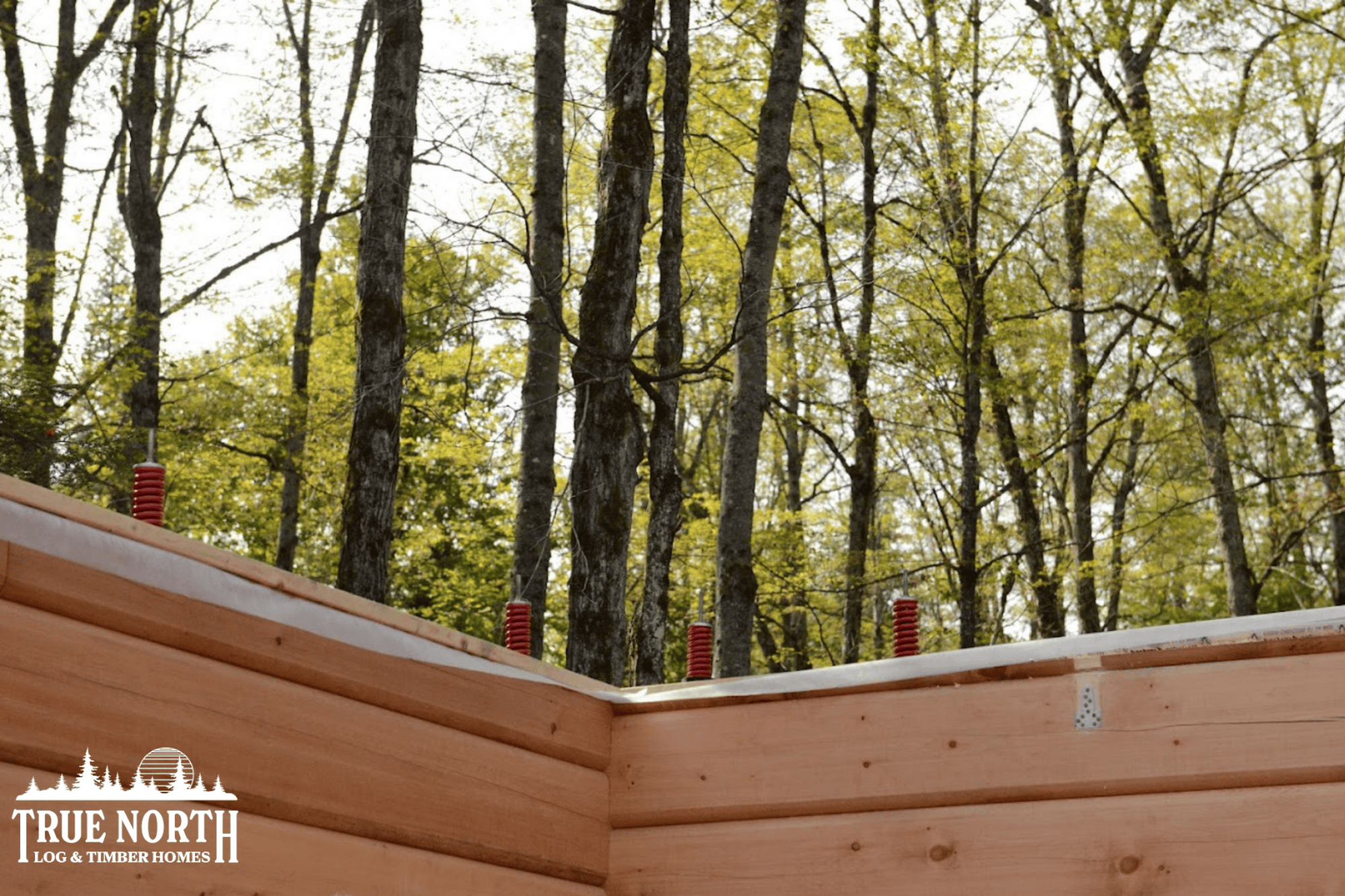 This image captures the top of a True North Log & Timber Homes log stacking process. Exposed at the top are part of True North's LogLocks® Compression System, which ensures homeowners never have to tighten the bolts in their log homes themselves. 
